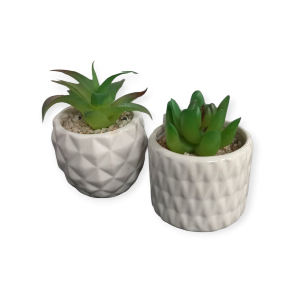 MINI MACETAS CERAMICA C/SUCULENTAS.